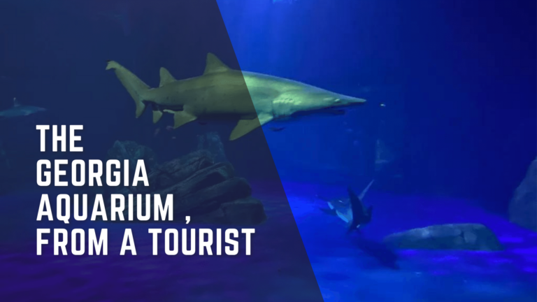 georgia-aquarium-review-as-a-tourist
