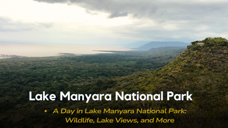 A Day in Lake Manyara National Park- Wildlife, Lake Views, and More